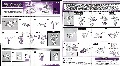 Cyclonus with Crumplezone hires scan of Instructions